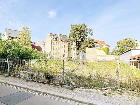Verwildertes städtisches Baugrundstück mit Metallzaun, alten Gebäuden und Bäumen unter blauem Himmel.