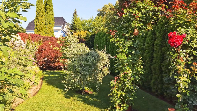 Garten