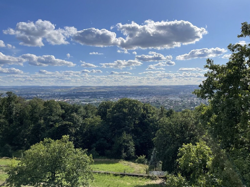Blick